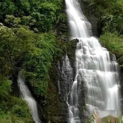 德国1月CPI同比增长2.9%，预期增长